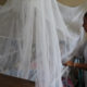 Aumentan casos de dengue hemorrágico en Oaxaca