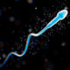 Varicocele, padecimiento masculino que influye en la fertilidad