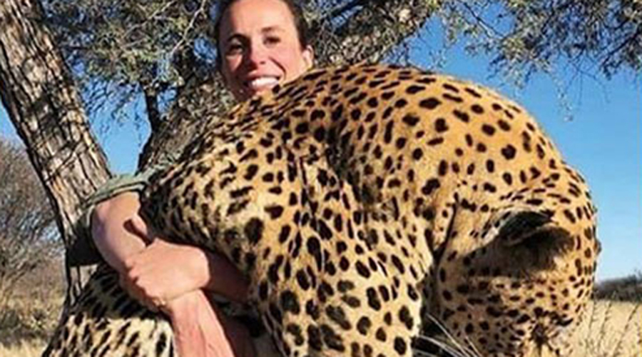 Cazadora mata a uno de los leopardos más grandes del mundo y lo presume en redes | El Imparcial de Oaxaca