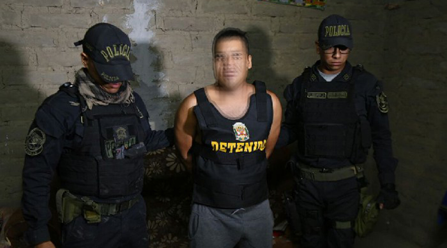 Detienen a la banda de ‘Los Sapos’ dedicada a robar tiendas Elektra | El Imparcial de Oaxaca