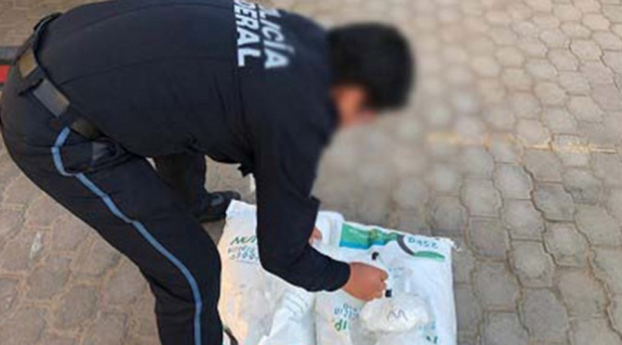 Decomisan 380 kilos de metanfetaminas en Baja California | El Imparcial de Oaxaca