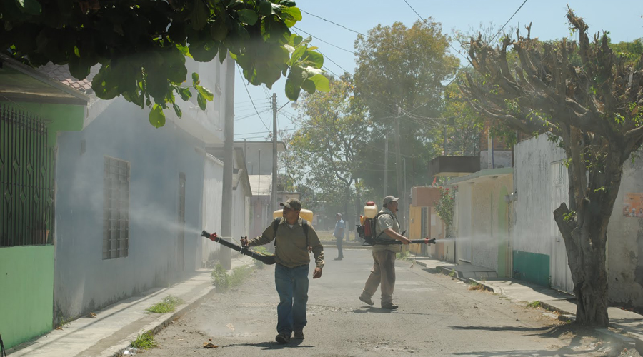 Implementa nebulizaciones en colonias de Tuxtepec | El Imparcial de Oaxaca