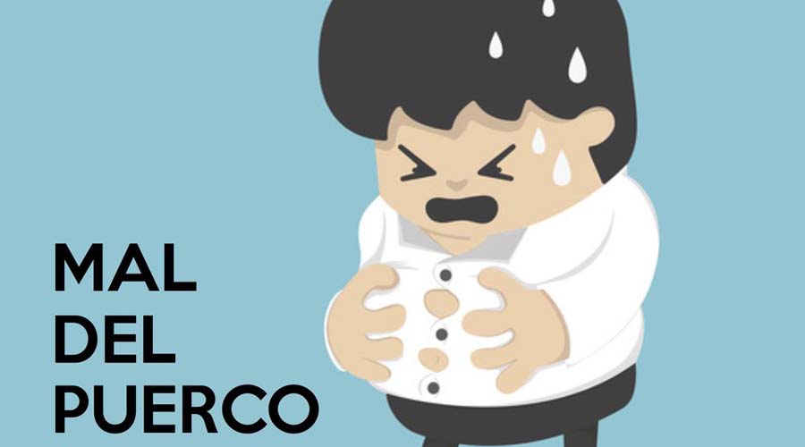 ¿Qué es el “mal del puerco” y cómo lo podemos evitar? | El Imparcial de Oaxaca