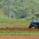 Impulsan agroindustria sustentable en Oaxaca