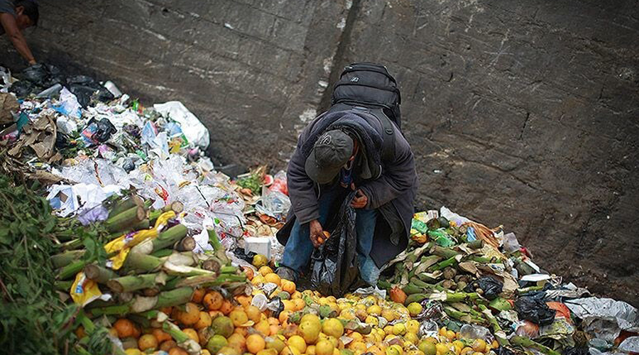 ¿Cuánta comida desperdician los mexicanos? | El Imparcial de Oaxaca