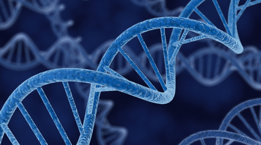 El 80% de las enfermedades raras son de origen genético