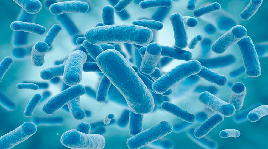 Los probióticos tienen el mismo efecto que el placebo en la gastroenteritis aguda