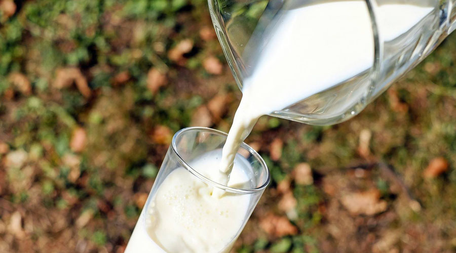 ¿Alergia a la leche o intolerancia a la lactosa?