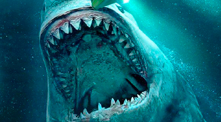 ¿Sigue vivo el megalodón, el tiburón más gigantesco de todos los tiempos? | El Imparcial de Oaxaca