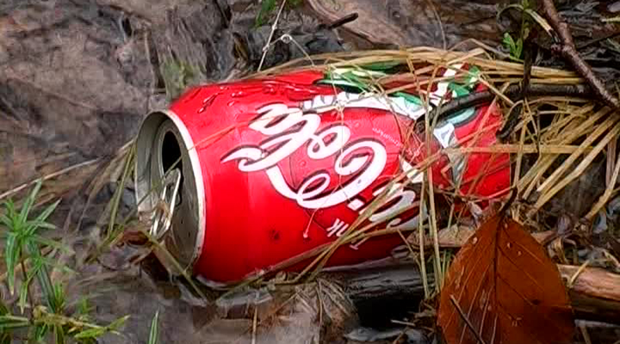 Después de 29 años, resuelven crimen gracias a lata de Coca-Cola | El Imparcial de Oaxaca