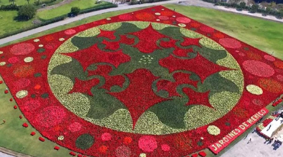 Busca México el récord Guinness por tapete floral más grande del mundo | El Imparcial de Oaxaca
