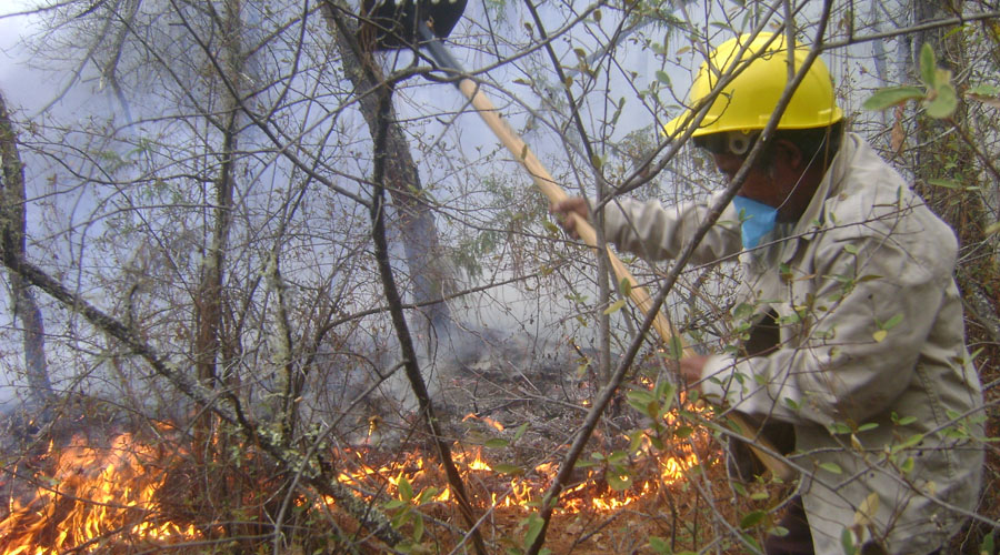 Alertan en la Mixteca ante los incendios forestales | El Imparcial de Oaxaca