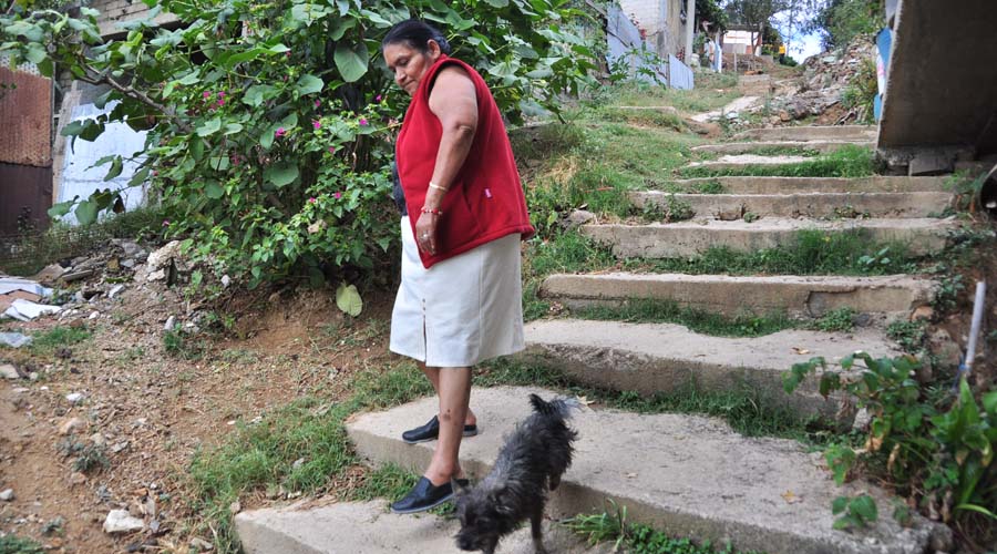 Piden vecinos atender necesidades de la colonia Heladio Ramírez | El Imparcial de Oaxaca