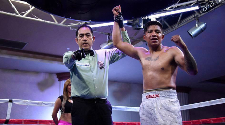 Boxeador oaxaqueño gana por KO en Campeonato Nacional de Boxeo | El Imparcial de Oaxaca