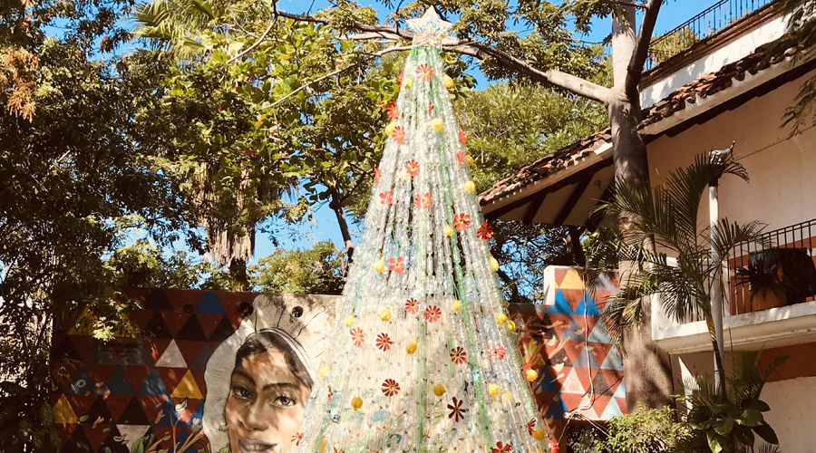 Construyen árbol de navidad con botellas | El Imparcial de Oaxaca