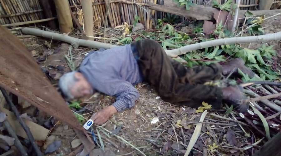Hombre muere tras caer de un árbol en Viguera