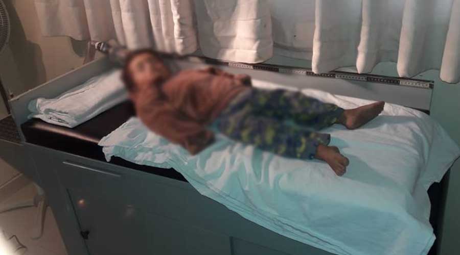 Niño muere aplastado por un tronco en San Jacinto Amilpas | El Imparcial de Oaxaca