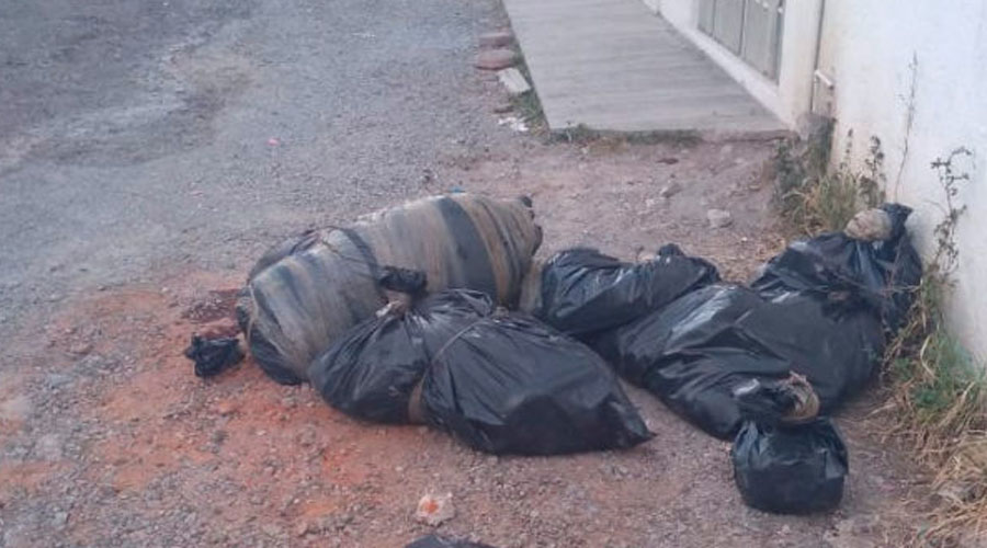 Encuentran siete bolsas con restos humanos