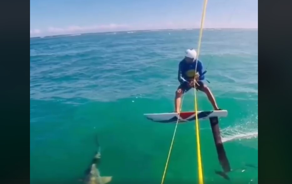 Video: Surfista graba el momento exacto en que se “tropieza” con un tiburón | El Imparcial de Oaxaca