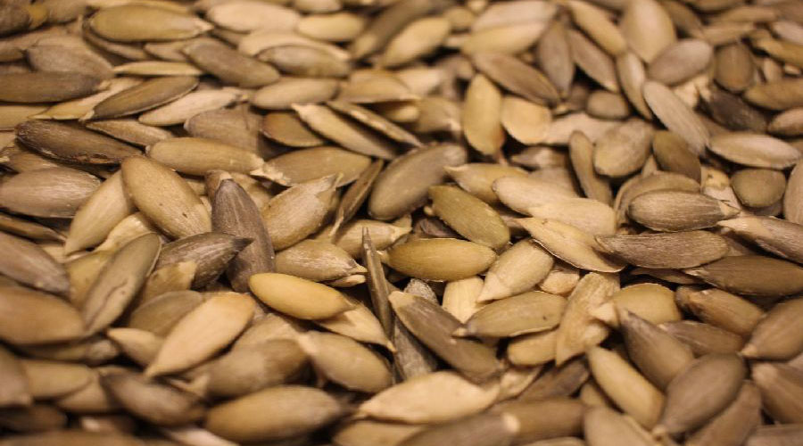 Comer estas semillas ayuda a controlar la presión alta | El Imparcial de Oaxaca