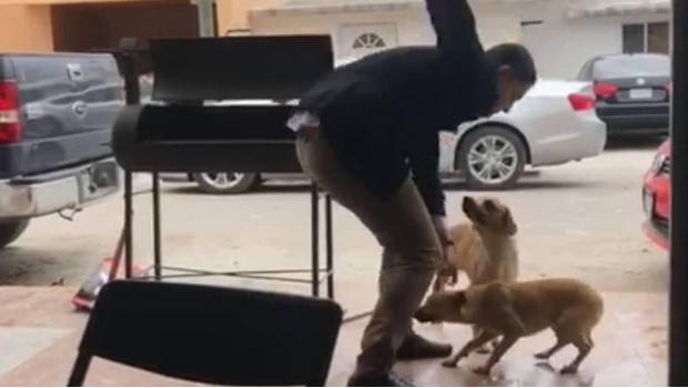 Causa indignación video de ataque a perro con navaja | El Imparcial de Oaxaca
