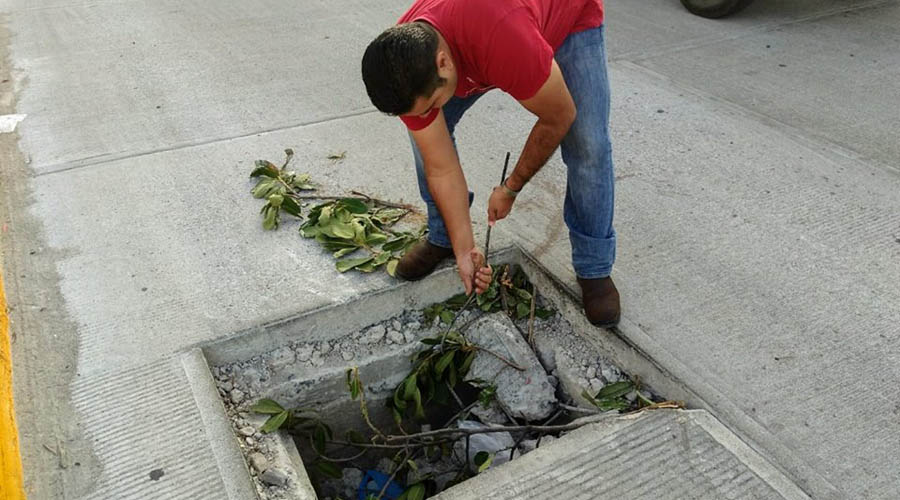 Atienden alcantarilla para evitar accidentes