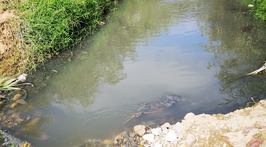 Crece contaminación por aguas negras del Río Atoyac | El Imparcial de Oaxaca