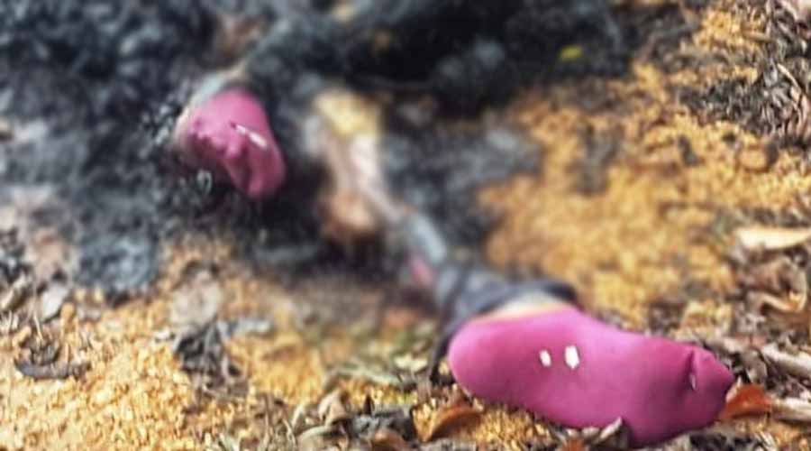 Hallan a una mujer calcinada en Arroyo Limón