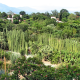 El Jardín Etnobotánico de Oaxaca  se integra a la  serie Ilumíname