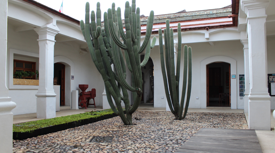 El Museo de Filatelia, sus estampas y 20 fotógrafos | El Imparcial de Oaxaca
