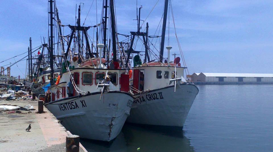 Mala racha para sector pesquero de Oaxaca | El Imparcial de Oaxaca