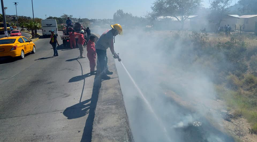 Se incrementan incendios  forestales en Salina Cruz | El Imparcial de Oaxaca