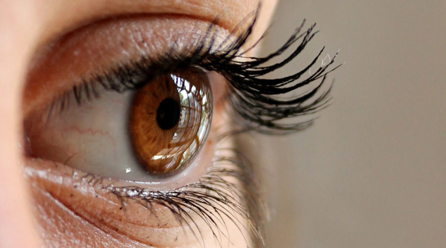 Iris del ojo puede reflejar si tienes colesterol alto | El Imparcial de Oaxaca