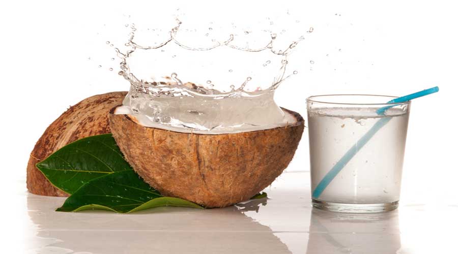 Beneficios de consumir agua de coco | El Imparcial de Oaxaca