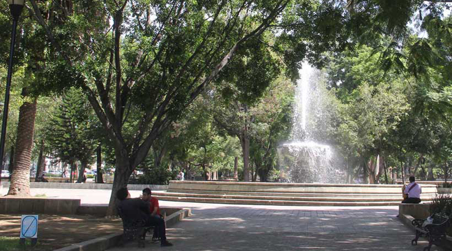 Árboles y mobiliario de El Llano presentan daños irreversibles