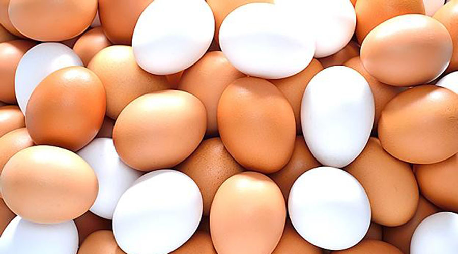 ¿Es realmente muy sano comer huevo? | El Imparcial de Oaxaca