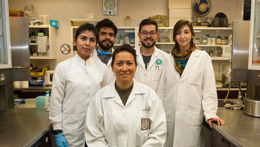 Oaxaqueña, la científica del IPN que eliminó el virus del papiloma | El Imparcial de Oaxaca