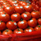 Productores de tomate pagarán más aranceles para exportarlo a EU