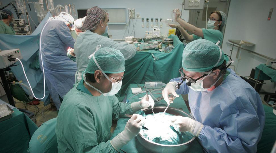 Más de tres mil trasplantes, es la meta del IMSS en el 2019