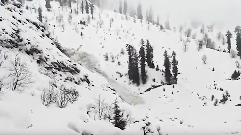 Video: Avalancha en los Himalaya devora árboles y escuela a su paso
