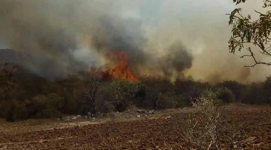 Se incendian pastizales en San Miguel Tlalixtac de Cabrera | El Imparcial de Oaxaca