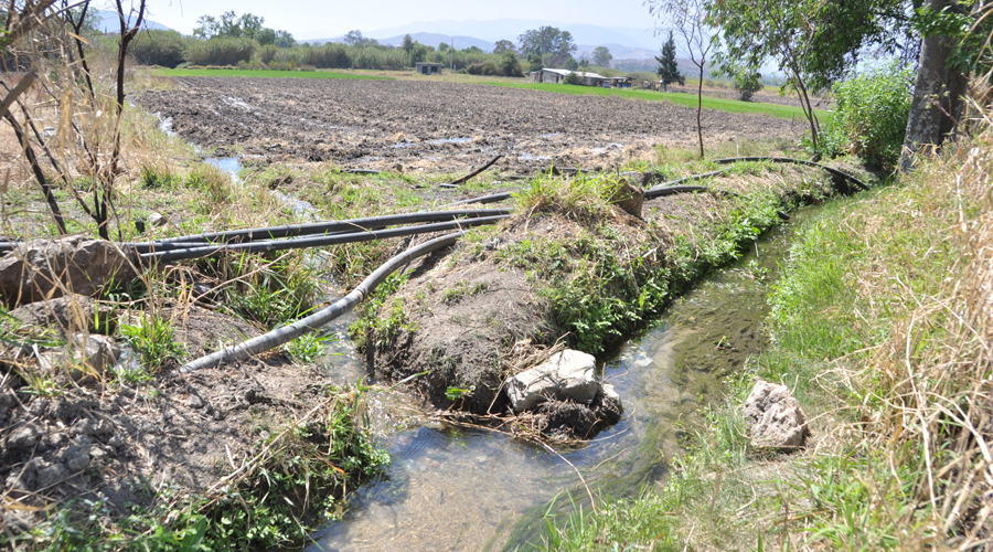 Padece el Valle Eteco por la falta de agua | El Imparcial de Oaxaca