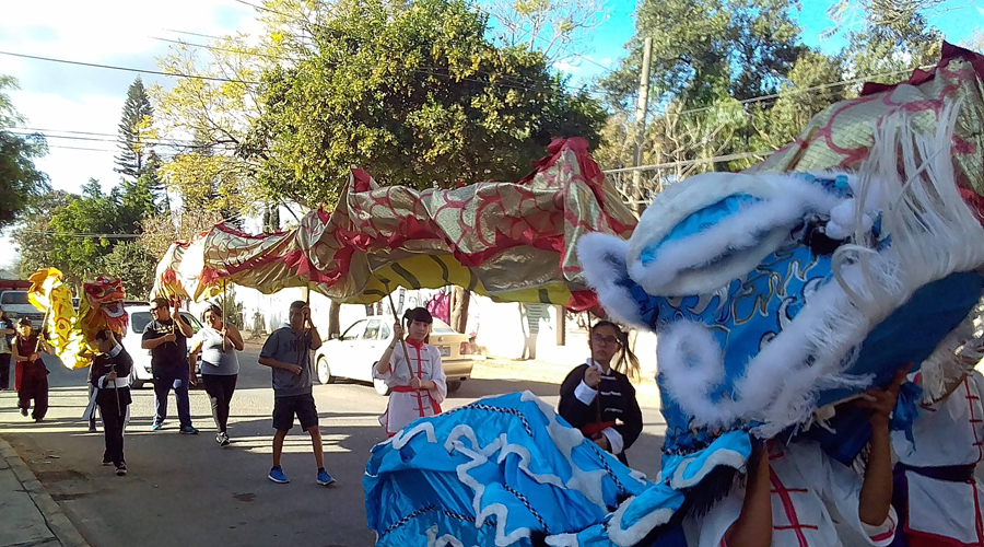 Conmemoran Año del Cerdo en “Team International Furia de Dragón” | El Imparcial de Oaxaca