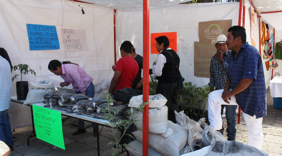 Composta, oportunidad  de mejorar los cultivos de la Mixteca | El Imparcial de Oaxaca