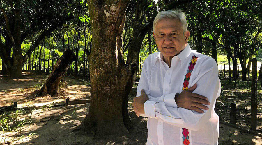 López Obrador propone sembrar árboles en el Triángulo Dorado | El Imparcial de Oaxaca