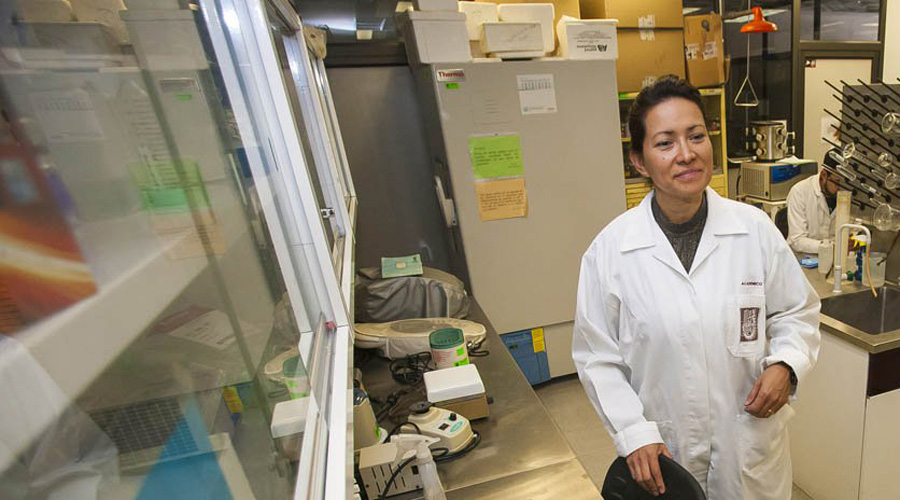 Científica mexicana del IPN cura por completo del VPH a 29 mujeres | El Imparcial de Oaxaca