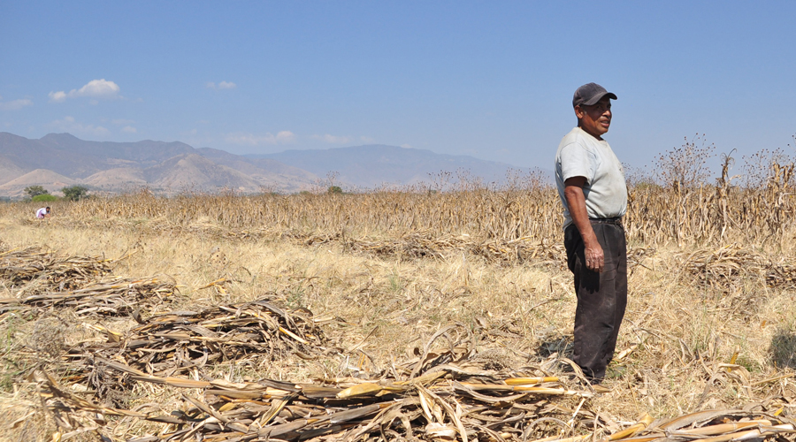 Pobreza y abandono inundan a Yatzeche | El Imparcial de Oaxaca
