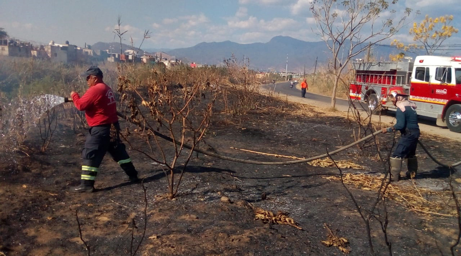 Incendio provoca caos en la Ex Garita | El Imparcial de Oaxaca