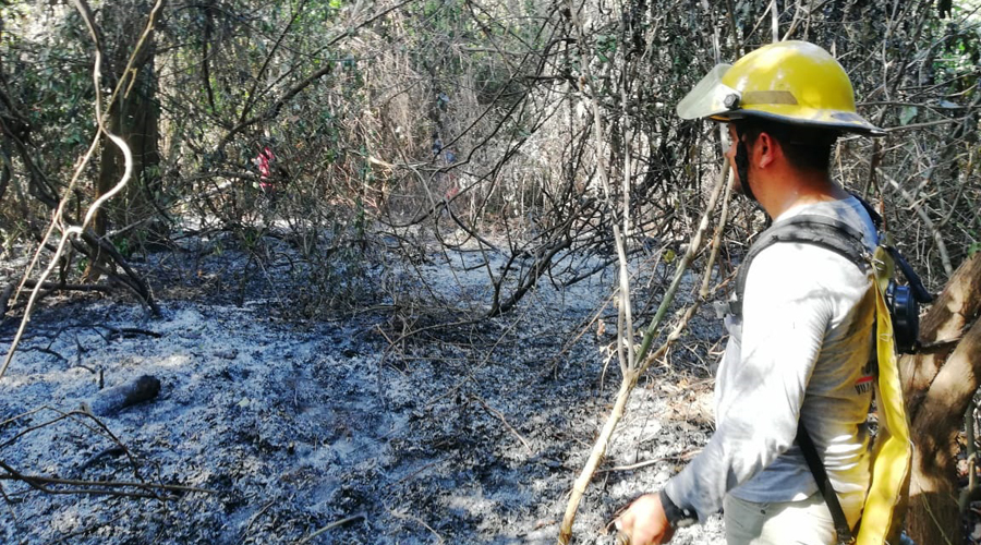 Incendio forestal siniestra parte  del Parque Nacional Chacahua