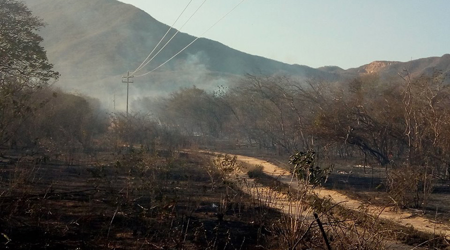 Incendio provoca pánico entre vecinos de Salina Cruz